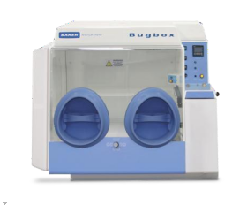 Bugbox（厌氧工作站）