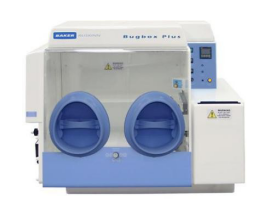 Bugbox Plus（厌氧工作站）