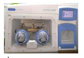 Concept 500（M）