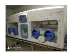 Concept1000（M）
