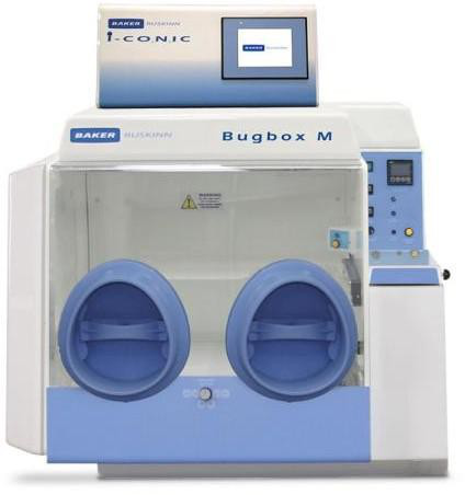 Bugbox M 微需氧工作站